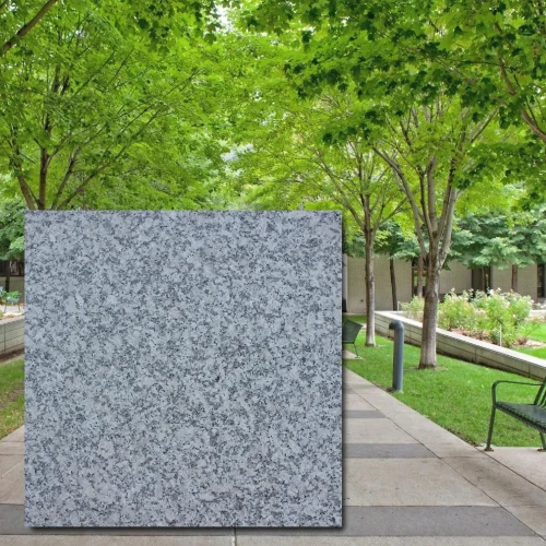 Bianco Sardo G602 2.webp