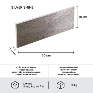 Kamień elewacyjny-dekoracyjny kwarcytowy Silver Shine Brick 10x30