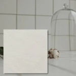 Sienų plytelės Gatsby White 20x20x0,7 cm