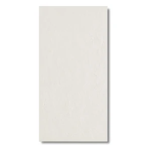 Płytka Gresowa Color Studio White 60x30x0,6cm