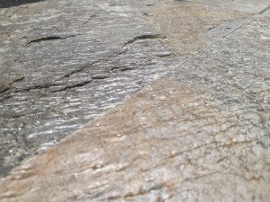 Kamień elewacyjny-dekoracyjny kwarcytowy Deoli Green 7x50 cm