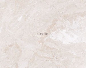 4fdf5d5380cbc51bf659de4325278e1b