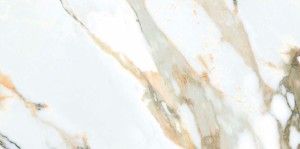 calacatta gold 6.JPG